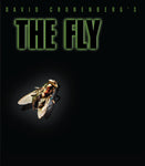THE FLY